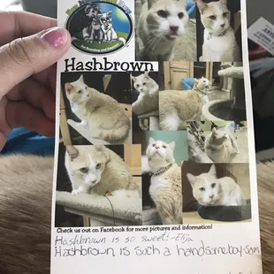 I loved this card Fur Night and Day gave me when i got back from my trip!