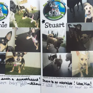 Memories from their first day!