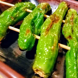 Shishito