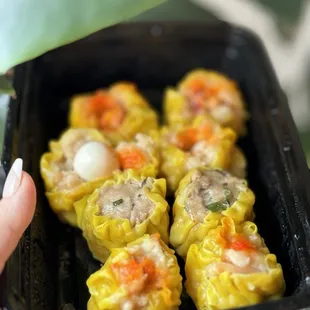 Shu Mai Flight