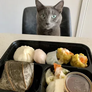 Dim Sum Bento Box