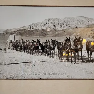 Historical pictures