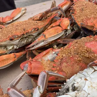 Large crabs
