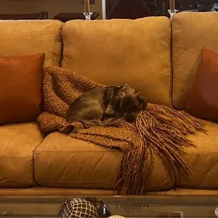 This is the after stuffing picture.