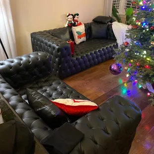 Special order couches
