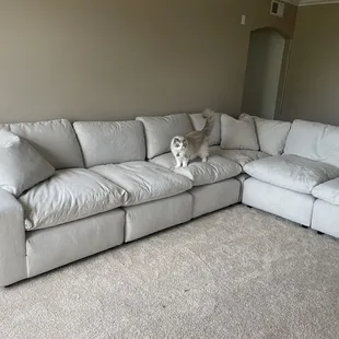 Furniture On Consignment