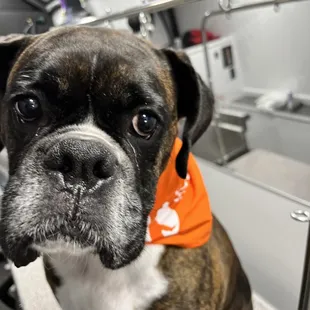 Thanks Corvo for your business!