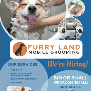 Looking for great people to help us launch and grow with us!