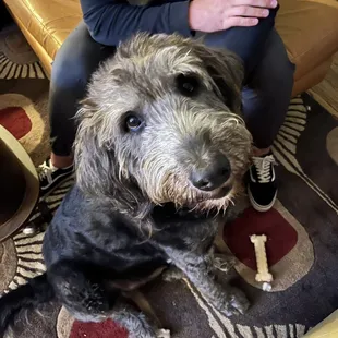 One of our family members!