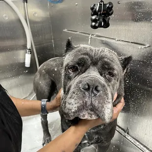 What a handsome guy!