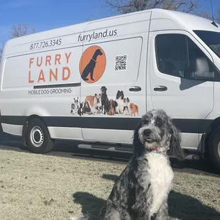 Thanks Maddie for your doodle do!