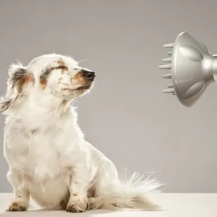 Gotta love that breeze in the face!