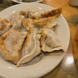 Pan Fried Dumplings