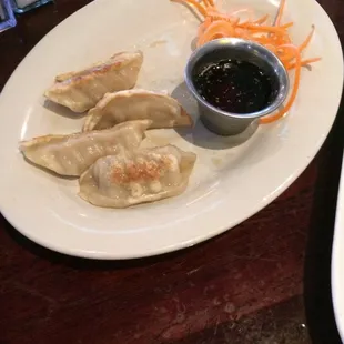 Pot Stickers