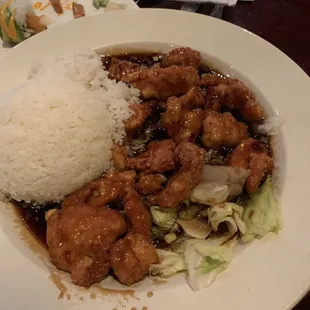 Spicy Scallion Chicken