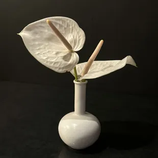 FUSION - table centerpiece