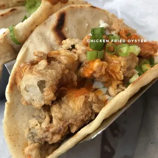 Fried Oyster