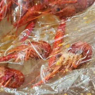 Crawfish