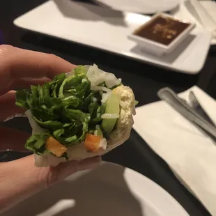 Spring Rolls