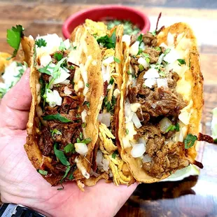 a hand holding two tacos