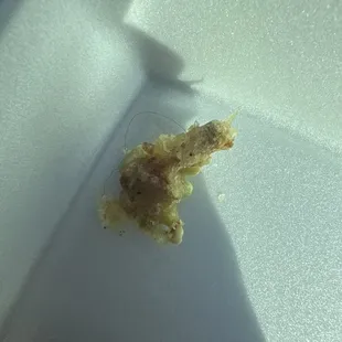 Popcorn Lobster Roll