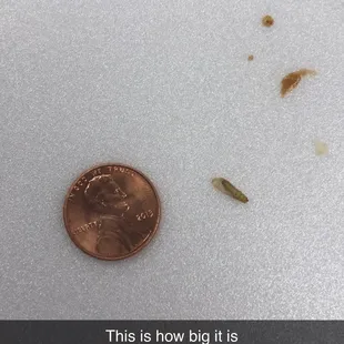 Worm found in broccoli