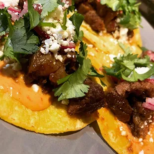 Bulgogi Tacos