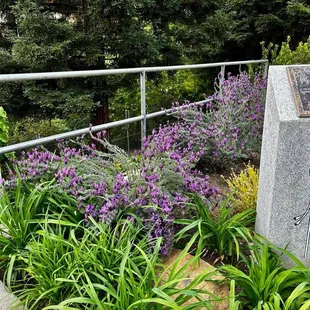 Outside restaurant..m