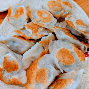 Fried Dumplings
