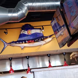 a fish on the wall