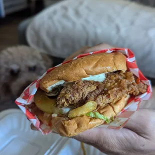 Chicken sandwich, Garlic Parmesan seasoning
