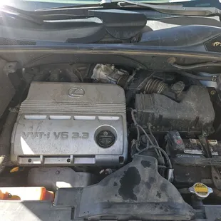 Serviced engine