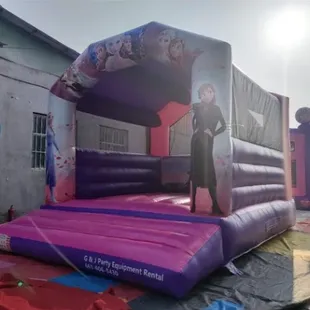 Frozen Bounce House