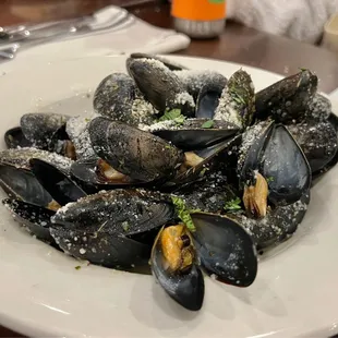 Mussels in White Sauce