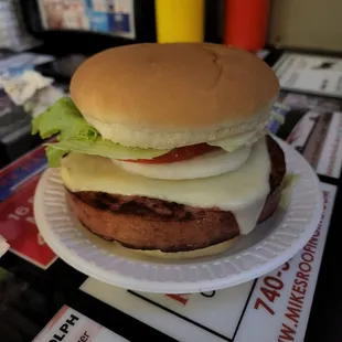 Fried Bologna Sandwich
