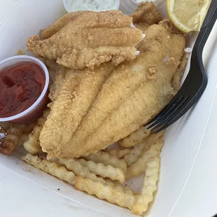 Catfish with fries