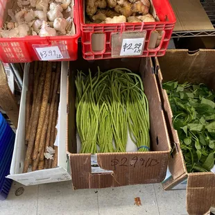 a variety of vegetables