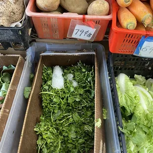 a variety of vegetables