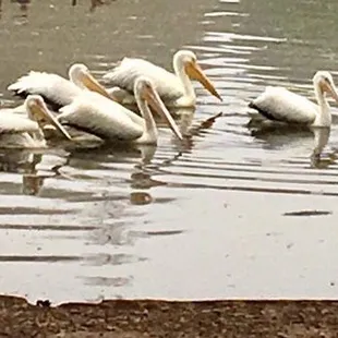 The City that Care Forgot