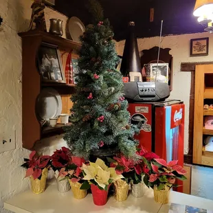 Decorated for Christmas