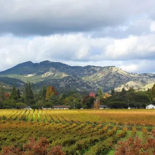 Wine tasting with a view