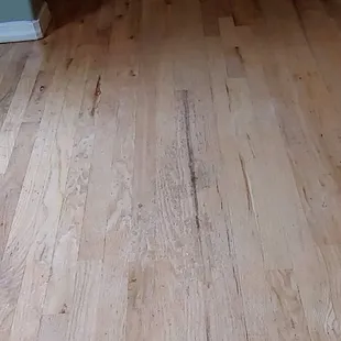 What the floors looked like 13 months after they were refinished by g3.