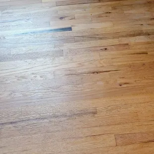 What the floors looked like 13 months after they were refinished by g3.