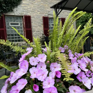 Pretty patio