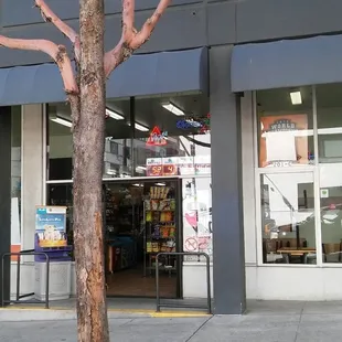 a storefront with a tree in front of it