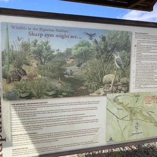 Getting ready to walk