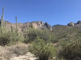 Pontatoc Ridge Trail