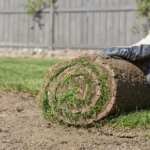 a man laying a roll of turf