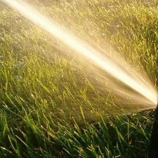 a sprinkler in the grass