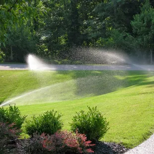 a sprinkler in action